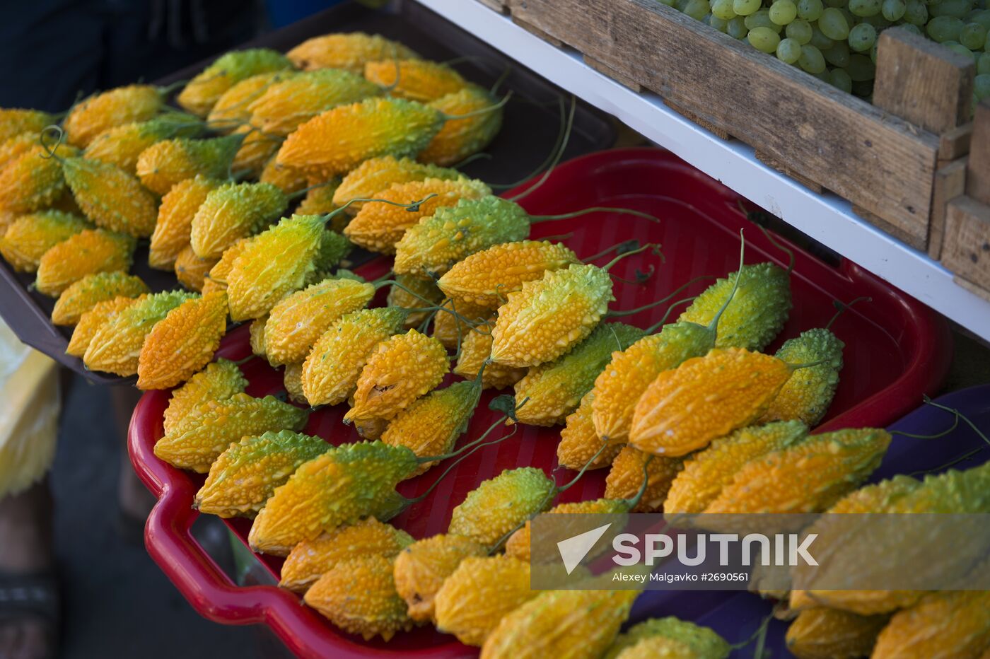 Russian regions. Crimea