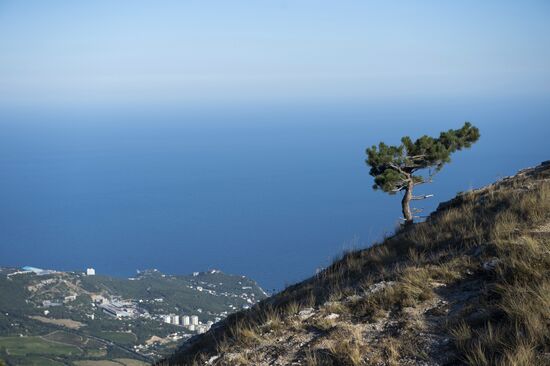 Russian regions. Crimea