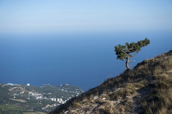 Russian regions. Crimea
