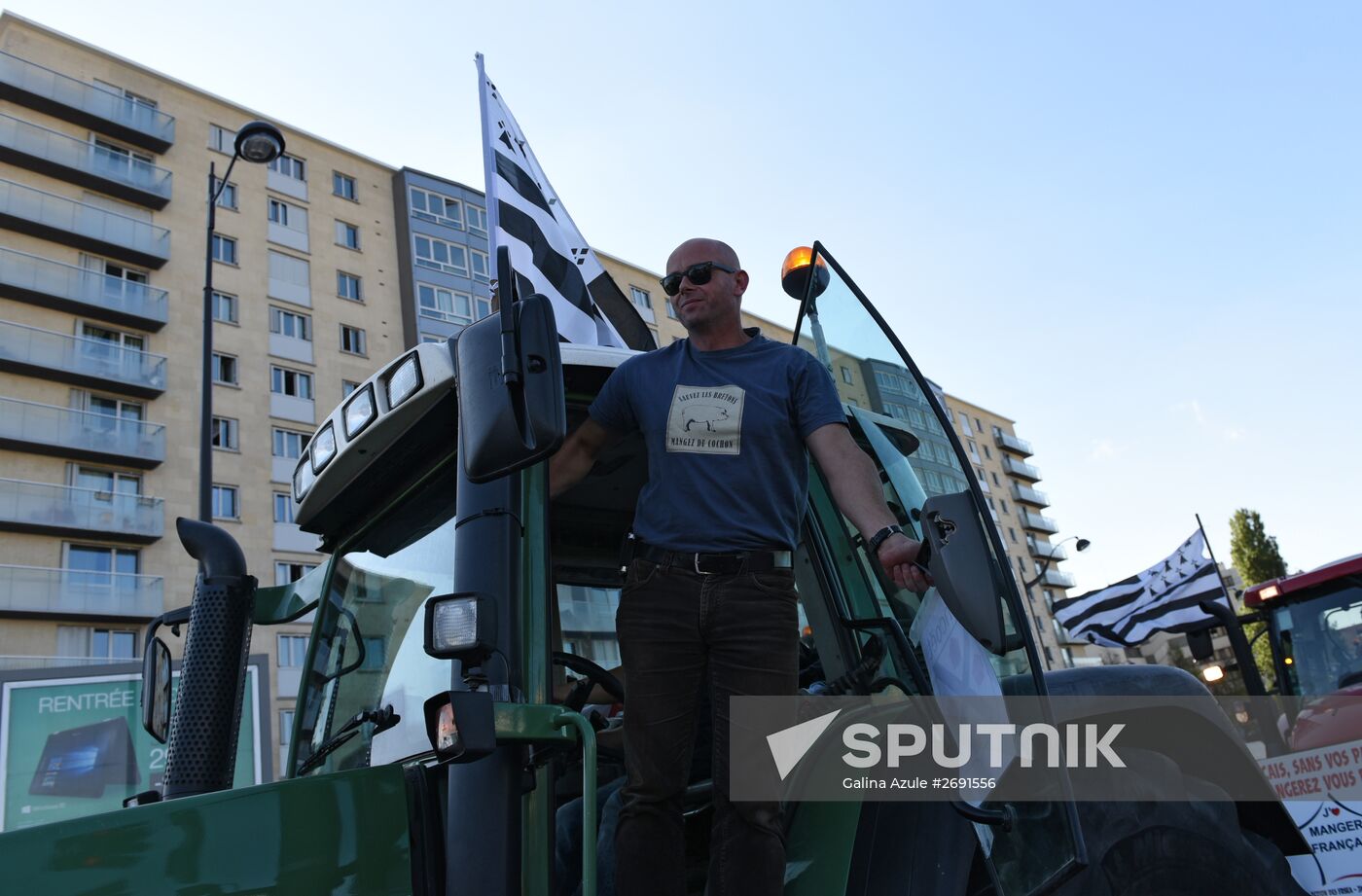 Farmers stage protests in Paris