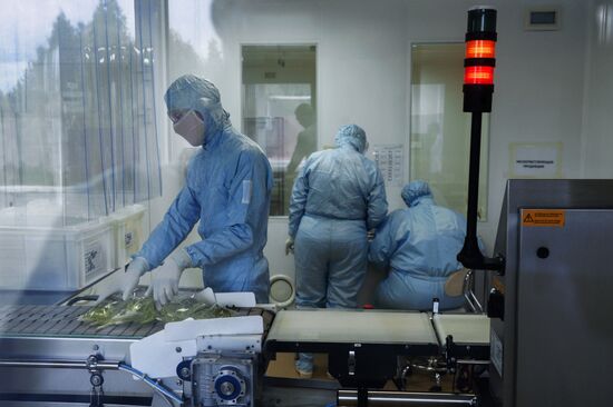 Medsintez plant in Novouralsk