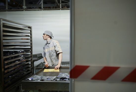 Medsintez plant in Novouralsk