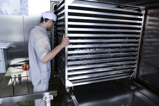 Medsintez plant in Novouralsk