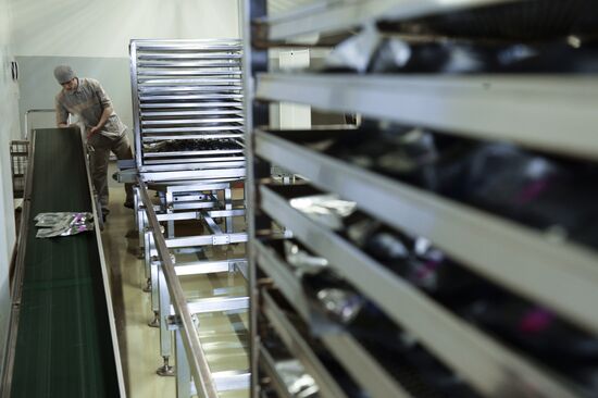 Medsintez plant in Novouralsk