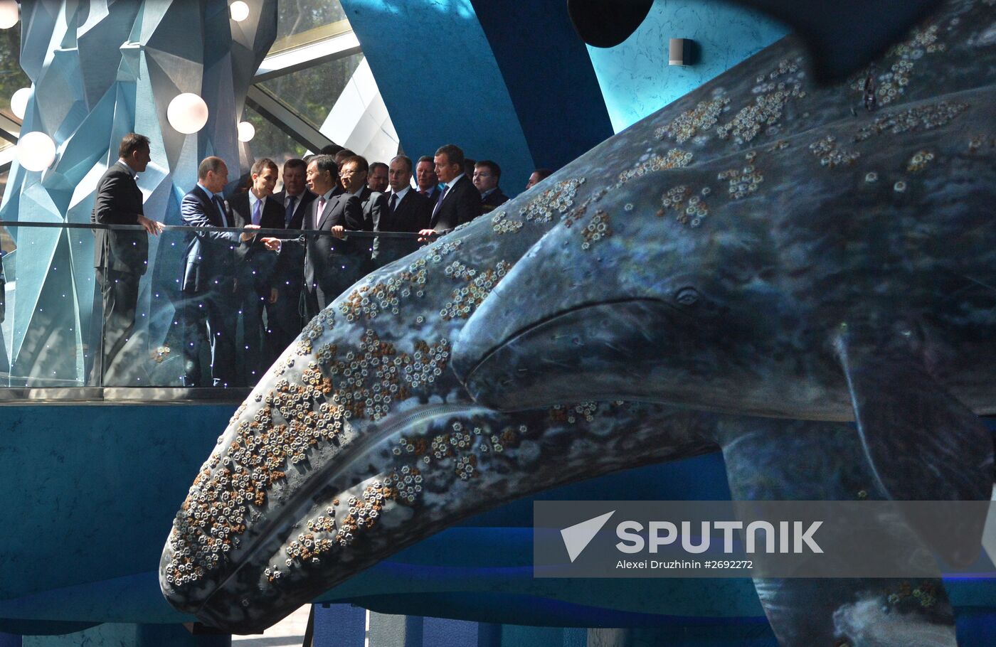 Russian President Vladimir Putin visits oceanarium on Russky Island