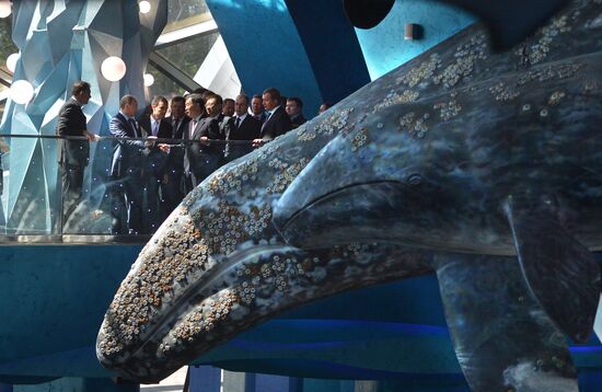 Russian President Vladimir Putin visits oceanarium on Russky Island