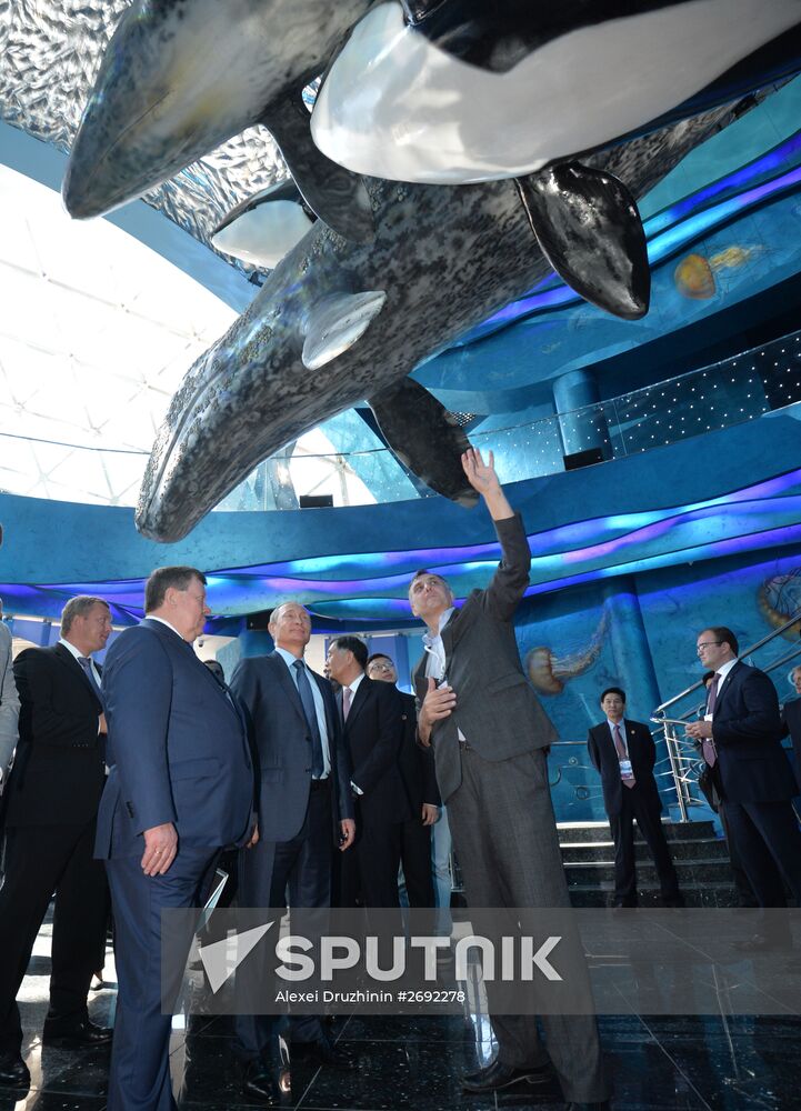 Russian President Vladimir Putin visits oceanarium on Russky Island