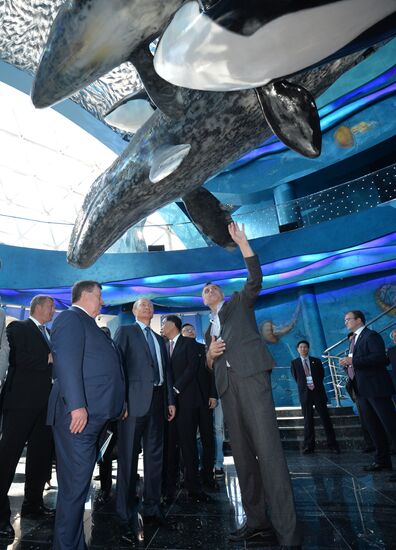 Russian President Vladimir Putin visits oceanarium on Russky Island