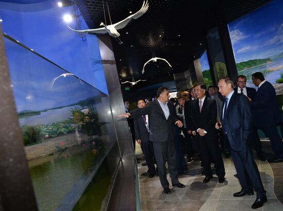 Russian President Vladimir Putin visits oceanarium on Russky Island