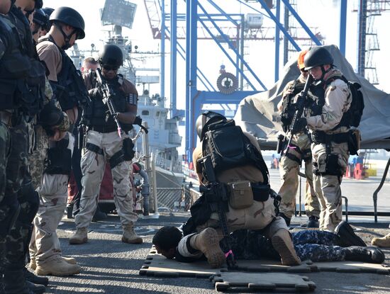 Ukraine, USA hold Sea Breeze 2015 naval drill