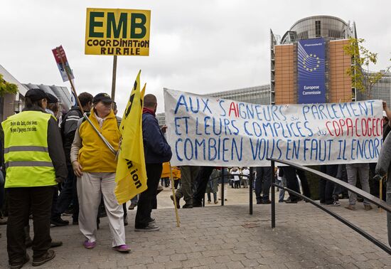 Farmers protest in Brussels