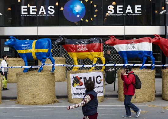 Farmers protest in Brussels