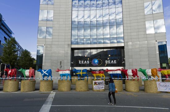 Farmers protest in Brussels