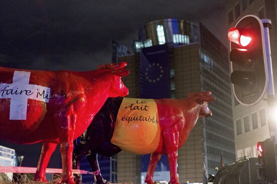Farmers protest in Brussels