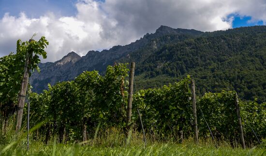 Cities of the world. Vaduz