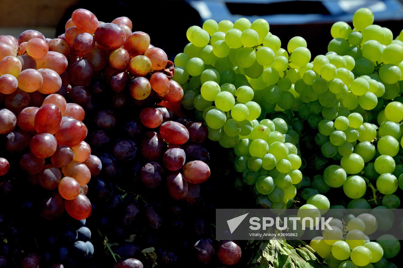 Vladivostok hosts 19th specialized Primorye Foods exhibition-fair