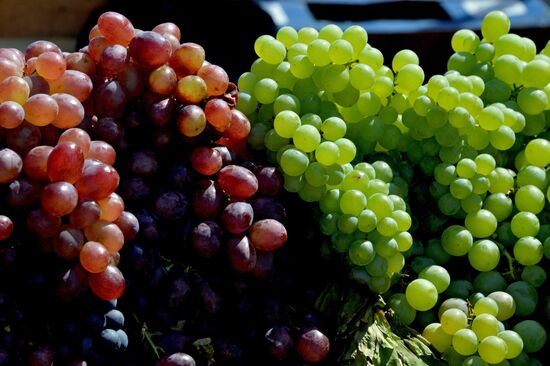 Vladivostok hosts 19th specialized Primorye Foods exhibition-fair