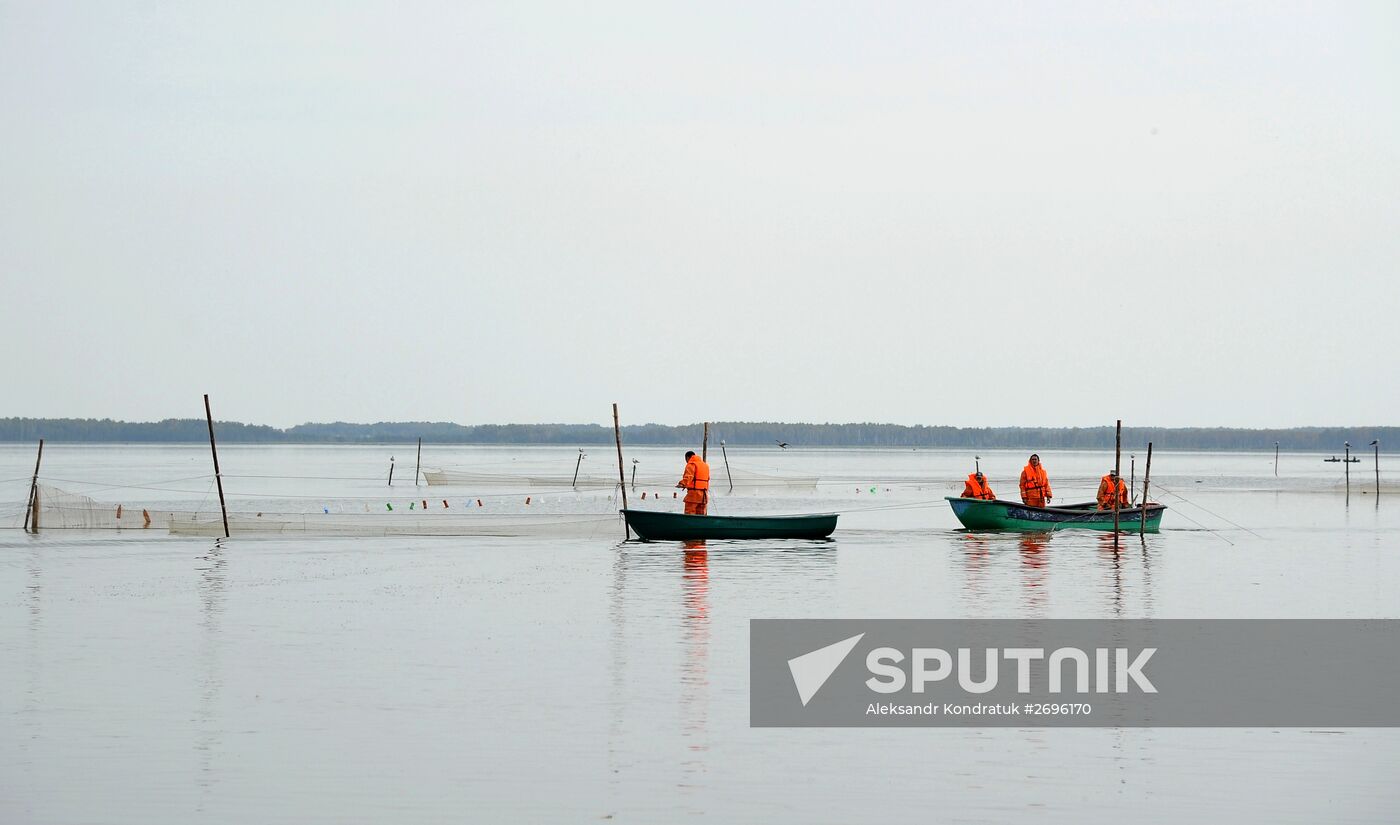 A fish farm in Russia's Chelyabinsk Region