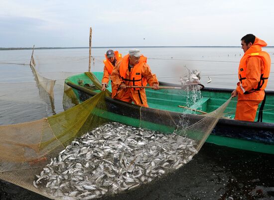 A fish farm in Russia's Chelyabinsk Region