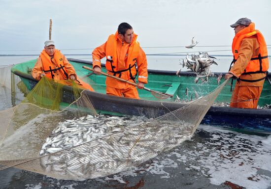 A fish farm in Russia's Chelyabinsk Region