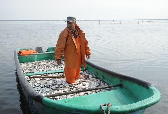 A fish farm in Russia's Chelyabinsk Region