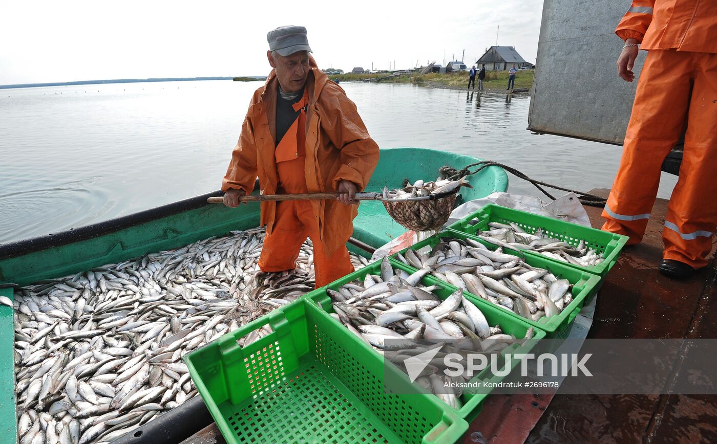 A fish farm in Russia's Chelyabinsk Region