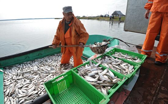 A fish farm in Russia's Chelyabinsk Region