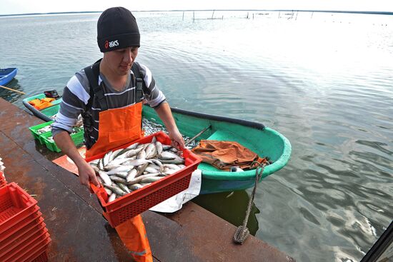 A fish farm in Russia's Chelyabinsk Region