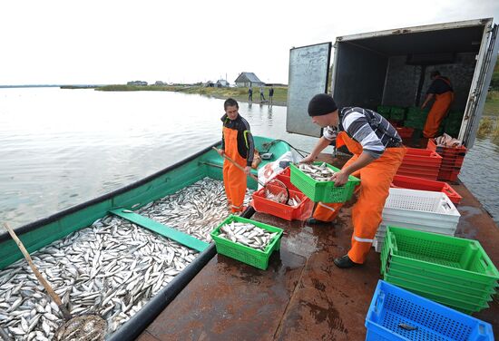 A fish farm in Russia's Chelyabinsk Region