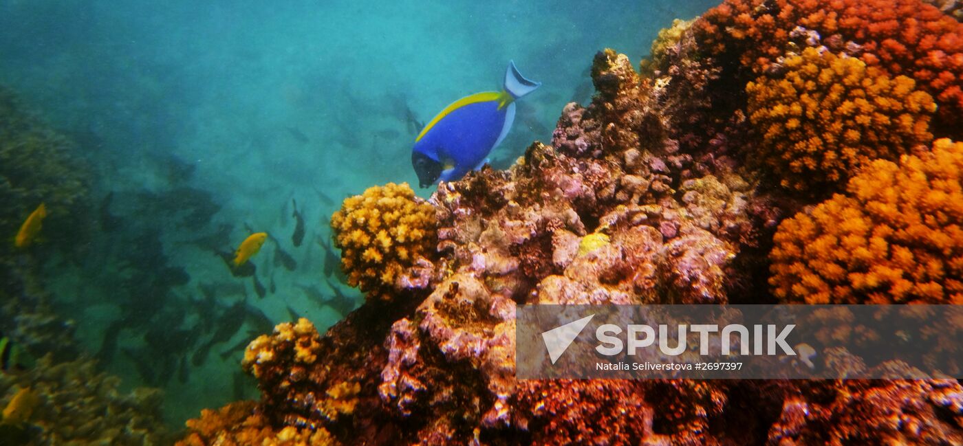 La Digue island, Seychelles