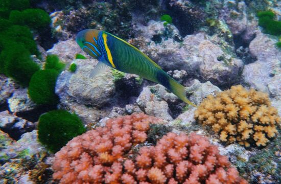 La Digue island, Seychelles