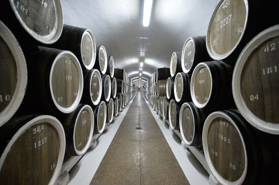 President Vladimir Putin's working trip to the Crimean Federal District