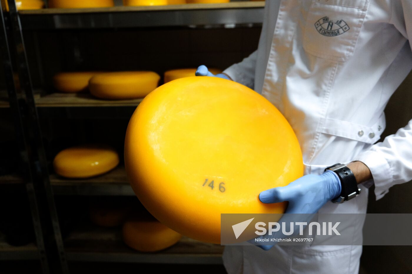 Camembert cheese production in Krasnodar Territory