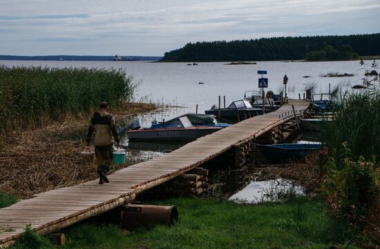 Birch Islands nature reserve in the Gulf of Finland