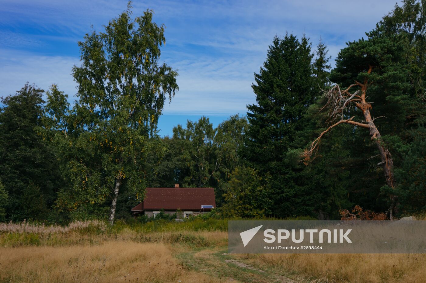 Birch Islands nature reserve in the Gulf of Finland