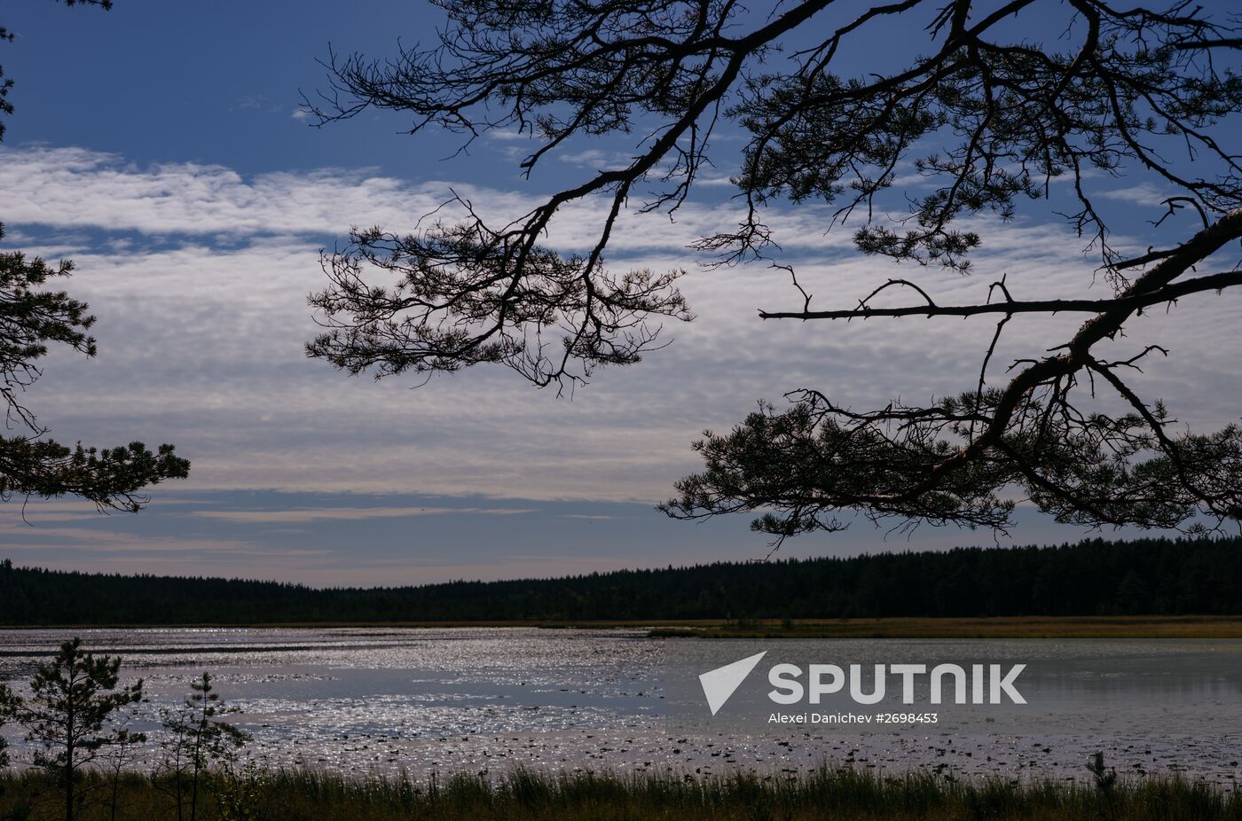 Birch Islands nature reserve in the Gulf of Finland