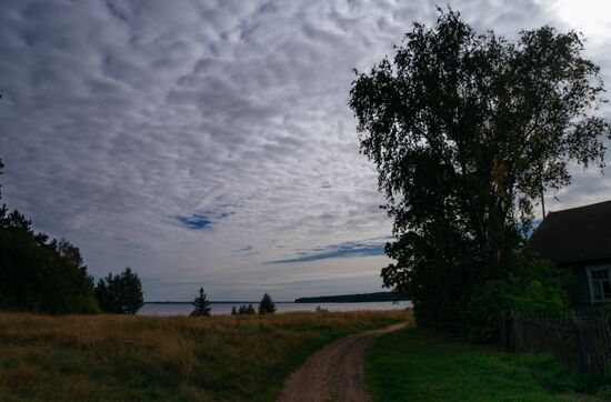 Birch Islands nature reserve in the Gulf of Finland
