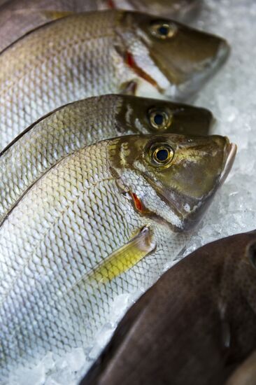 WorldFood Expo in Moscow
