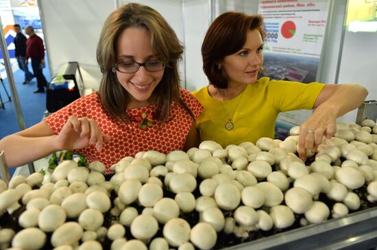 Import Substitution International Specialized Exhibition