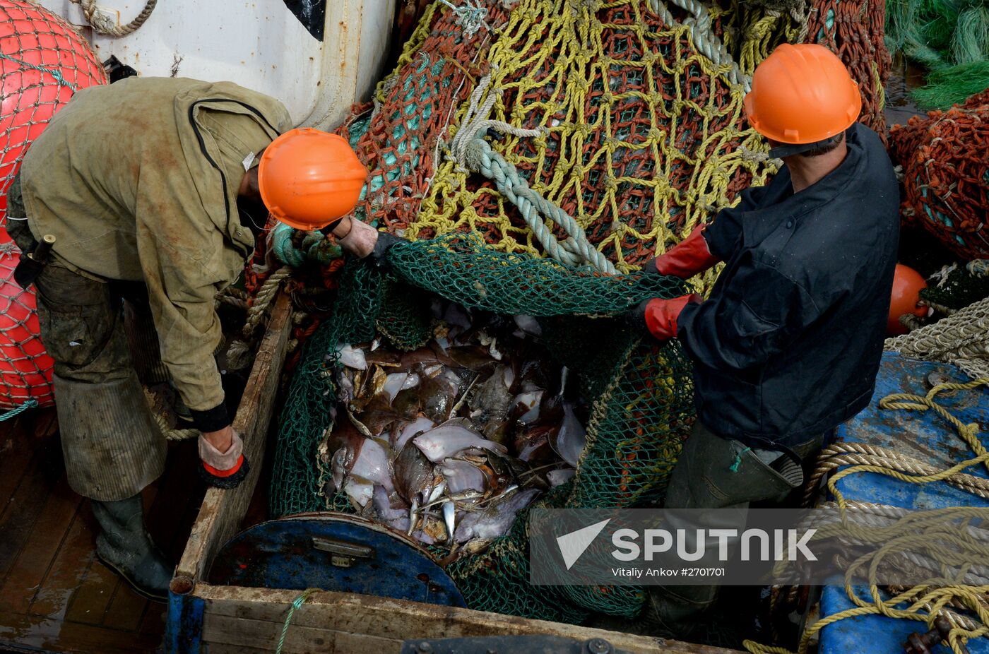 Dobroflot fishing company, Primorye Territory
