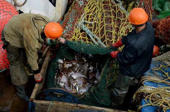 Dobroflot fishing company, Primorye Territory