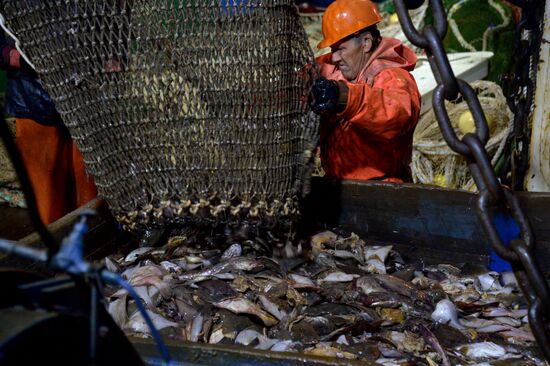 Dobroflot fishing company