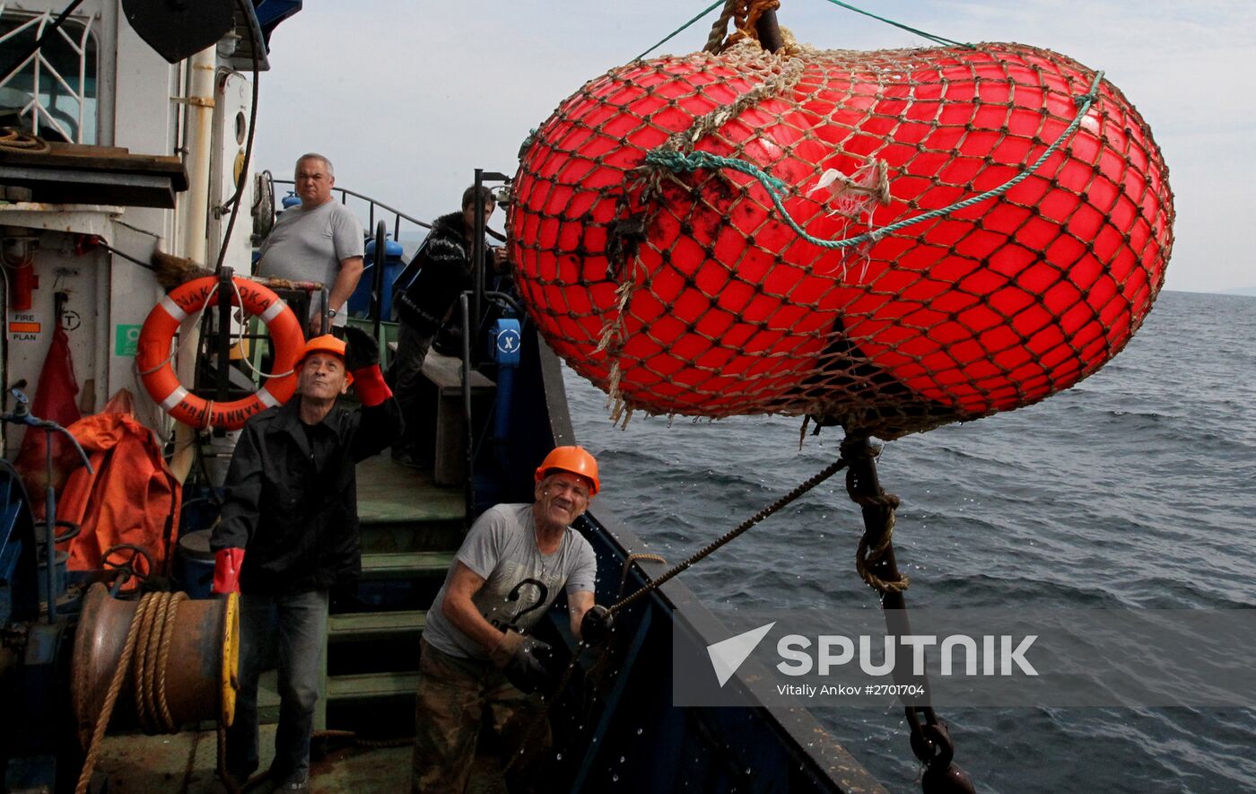 Dobroflot fishing company, Primorye Territory