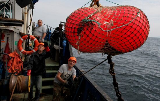 Dobroflot fishing company, Primorye Territory