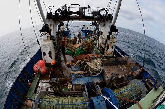 Dobroflot fishing company, Primorye Territory