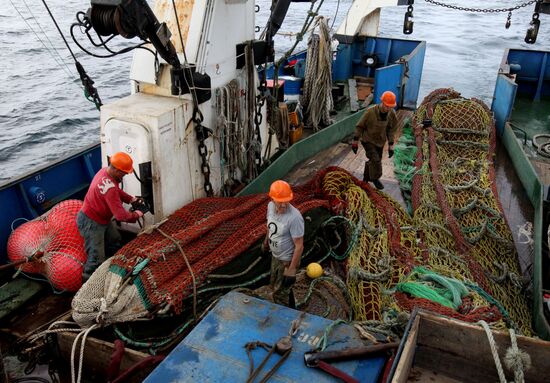 Dobroflot fishing company, Primorye Territory
