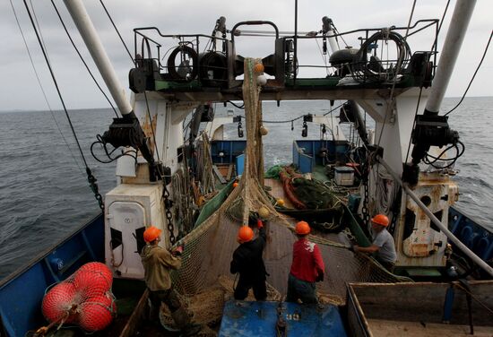 Dobroflot fishing company, Primorye Territory