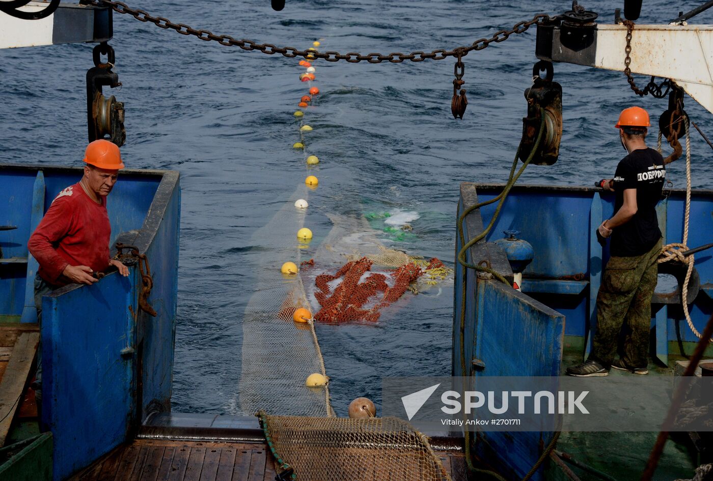 Dobroflot fishing company, Primorye Territory