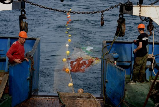 Dobroflot fishing company, Primorye Territory