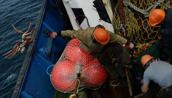 Dobroflot fishing company, Primorye Territory